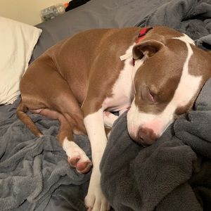 Meet your Posher, Mary